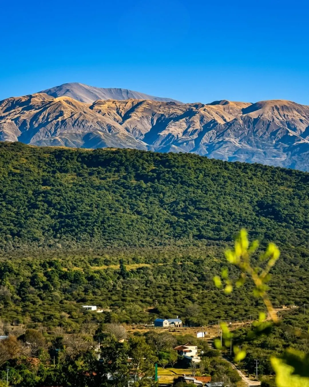 Cerros y monte de La Caldera, Salta
